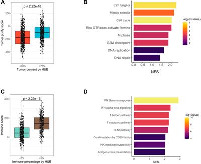 Evaluation of the EdgeSeq Precision Immuno-Oncology Panel for Gene Expression Profiling From Clinical Formalin-Fixed Paraffin-Embedded Tumor Specimens